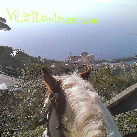 Villetta Sul Mare Camogli Extérieur photo