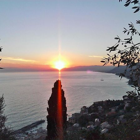 Villetta Sul Mare Camogli Extérieur photo