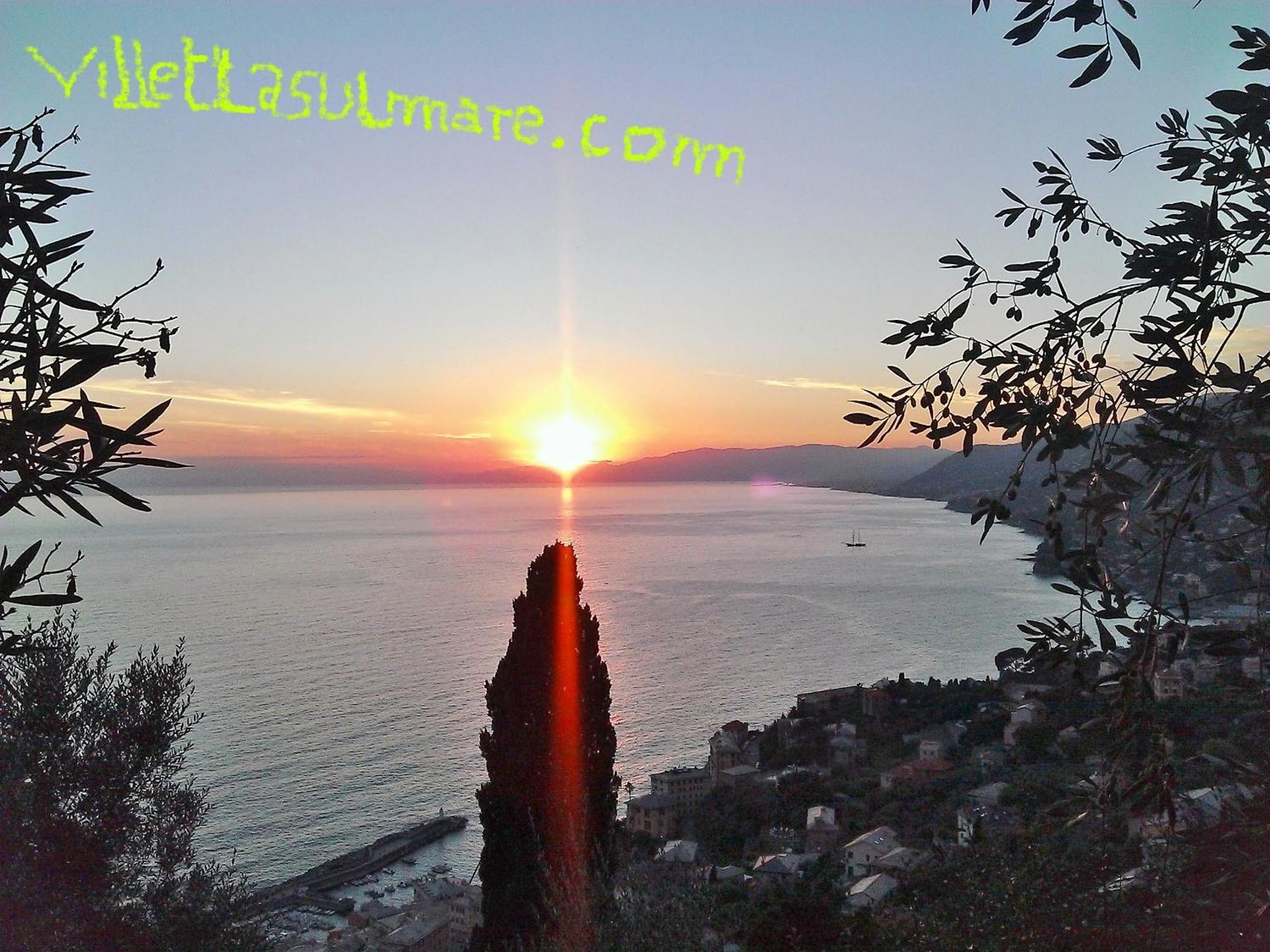 Villetta Sul Mare Camogli Extérieur photo